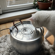 The KittySpout Water Spout
