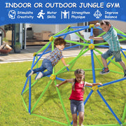 GVDV 10 FT Dome Climber Jungle Gym for Kids