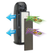 Guardian Technolgoies AP2200CA PureGuardian HEPA Fresh Air Purifier, 22