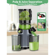 Aeitto SJ-041-2 250W Masticating Juicer, Cold Press with 5.3