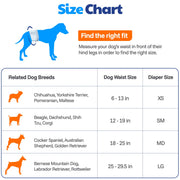 American Kennel Club Male Dog Wrap Disposable Diapers with Wetness Indicator, Medium Waist 18-25 in, 50 Count AKC70012