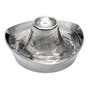 Radio Systems PWW00-17099 PetSafe Seaside Stainless Pet Fountain, Automatic Dog and Cat Water Bowl, 60 oz