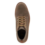 Irish Setter Setter Fifty 6