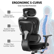 Coolhut 769ZKP-Black Ergonomic Office Desk Chair With Lumbar Support - Black