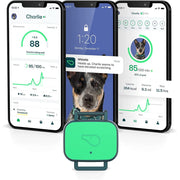 Whistle Health Smart Device, Dog Health and Fitness Tracker