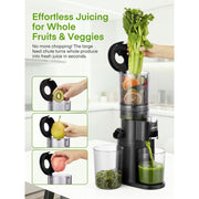 Juilist Masticating Juicer Machine, 150W, 60 RPM, BPA-Free, High Juice Yield, Quiet Operation, Easy to Clean, Includes Cleaning Brush, Black, JS8101