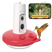 Birdfy EPPAMBNI8902100 Humming Bird Feeder with Camera, 1080P FHD Hummingbird Feeder Camera with Ant Moat - Red&White