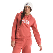 The North Face Evolution Half Dome Hoodie Women's Athletic Sweatshirt, Adjustable Hood, Kangaroo Pocket, Mars Dust, Small, NF0A8CWS