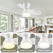 SUNMORY 22 Inch Low Profile Ceiling Fan with Dimmable LED Light, 6 Speeds, Remote Control, White