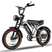 RCB 48V/15Ah Removable Li-Ion Battery 20