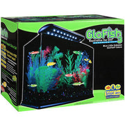 Tetra 29005 GloFish Aquarium Kit, 3 Gallon