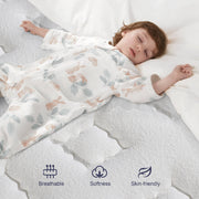 CICIMLU 12 inch Queen Hybrid Mattresses Medium Firm in a Box