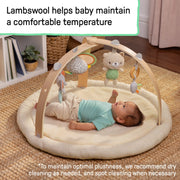 Ingenuity Every Season Plush Lambswool Baby Play Gym with Reversible Mat and Wooden Toy Bar, Natural Cream, 37 in, 16969
