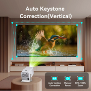 Losei 220'' Class FHD (1080P) LED Projector (Z10)