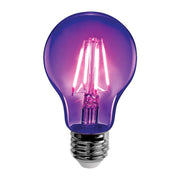 Archipelago Lighting Glow A19 Black Light Bulb, 9W LED, 800 Lumens, Purple UV Light, E26 Base