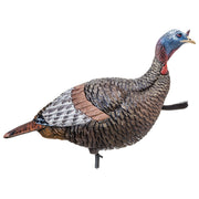 Flextone FLXDY317 Thunder Jake Turkey Decoy