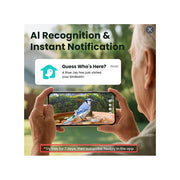 Birdfy Smart Bird Bath with 1080P HD Camera, AI Bird Identification, Solar Powered, Weatherproof, Brown, Jolly V
