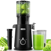 Ecoself Juicer Machine with 4.35