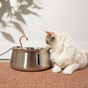 KittySpout 2.0 - Health & Happiness Cat Kit - 6 Month: KittySpout + 12 filter sets + extra pump + AC adapter