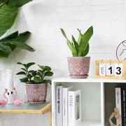 Gepege Ceramic Planter Set, Bohemian Style 6 Inch Round Pots with Drainage Hole and Saucer, Indoor Outdoor Succulent Orchid Flower Pot, Set of 2