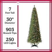 Holiday Time SV70M2BK6L00 Pre-Lit Brinkley Pine Artificial Christmas Tree 7' Clear LED Lights