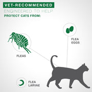 Bayer Animal Health 86335417 Advantage II Flea Prevention for Cats 2-5 lb, 2 doses