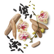 Dolly Parton Smoky Mountain Travel Spray and Cosmetics Set with Floral Woody Fragrance, Jolene Red Lipstick, Gold Dust Lip Gloss, Vegan, Paraben-Free