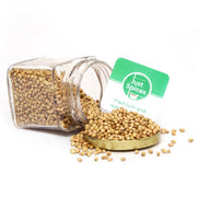 Just Spices Whole Coriander Seed (Dhaniya), 5 lb (2.27 kg)