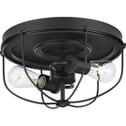Progress Lighting Medal Collection 2-Light Graphite Industrial Flush Mount Ceiling Light, 14.5 in, Dimmable, P350195-143