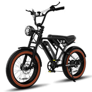 RCB 750W Electric Bike, 48V/15Ah Removable Li-Ion Battery