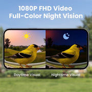 Birdfy Smart Bird Feeder with 1080P HD Camera, Color Night Vision, AI Bird Identification, Solar Powered, Metal Build, Holds 2.5L Seed, Green, 93257