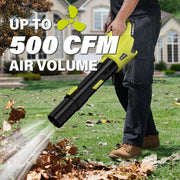 SEYVUM TTMJW 20V Cordless Lawn Care Combo Kit, 12-Inch 2-in-1 String Trimmer and Edger, Electric Leaf Blower with 6 Replacement Spool Lines, Two 4.0Ah Batteries and Fast Charger, Green