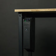 Swiss Tech Wchter 110 Mounted Biometric Gun Safe, Holds 1 Pistol & Magazine, USB-C Emergency Power, Black Steel, 85052