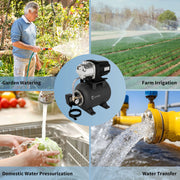 LANCHEZ Shallow Well Water Transfer Pump, 1.6 HP, Stainless Steel, Matte Black, 1340 GPH, 115V, With 5-Gallon Pressure Tank