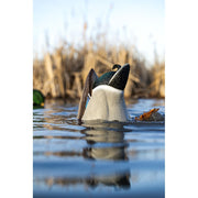 GSM Outdoors Avian-X Power Butt Kicker Drake Mallard Motion Duck Decoy, Rechargeable Lithium-Ion Battery, Foam-Filled Body, AVX-PBKD