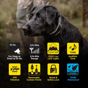 Dogtra 1900X Remote Dog Trainer E-Collar, 3/4 Mile Range, 100 Stimulation Levels, Waterproof IPX9K, Rechargeable, Black, For Dogs Over 35 lbs