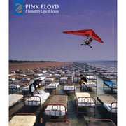 Sony Music Pink Floyd A Momentary Lapse Of Reason Deluxe CD Blu-ray 5.1 Surround Sound 40-Page Booklet 19439859592