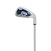 Callaway Golf 2010 Men's X-20 NG Irons (Right Hand, Steel)