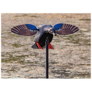 MOJO Outdoors Hw2470-3P Elite Series' Mini Mallard Drake Motorized Duck Decoy
