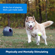 PetSafe Automatic Ball Launcher Dog Toy, Adjustable Distance and Angle, Water-Resistant, Includes 2 Tennis Balls, PTY00-14665