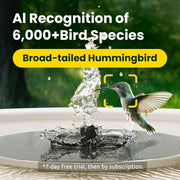 Birdfy Smart Bird Bath Fountain with Dual-Lens Camera, Solar-Powered, AI Bird Identification, IP66 Waterproof, Elevated Pole Stand, WMTNI-1226