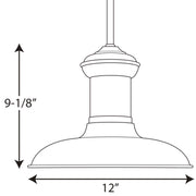 Progress Lighting Brookside LED Pendant Light, Antique Bronze, 3000K Warm White, Dimmable, Outdoor Ceiling Fixture, P5024-2030K9