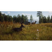 THQ Nordic Way of The Hunter (Xbox Series X)