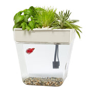 Back to the Roots 32000 Water Garden Fish Tank, Premium