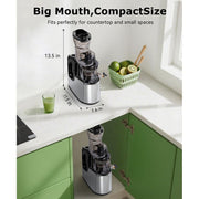 Casualife Cold Press Masticating Juicer, 800W Motor, 5.4-Inch Wide Feed Chute, 2 Speeds, Black