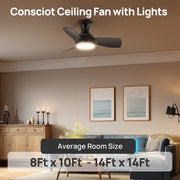 Consciot 30-Inch Flush Mount Ceiling Fan with Dimmable 3-Color LED Light, Remote Control, 6 Speeds, Reversible Quiet DC Motor, Black, CL17004-B-WM
