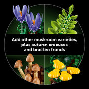 LEGO Botanicals Woodland Mushrooms Building Set, 806 Pieces, Multicolor, Collectible Mushroom Decor 6588544