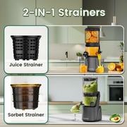 Canoly C16 Cold Press Juicer 250W AC Brushless Motor for Batch Whole Fruit Juicing, Slow & Quiet Juicing, BPA Free, Easy to Clean, Black