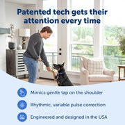 PetSafe Basic Dog Trainer with Remote