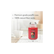 Yankee Candle Macintosh Original Jar Candle